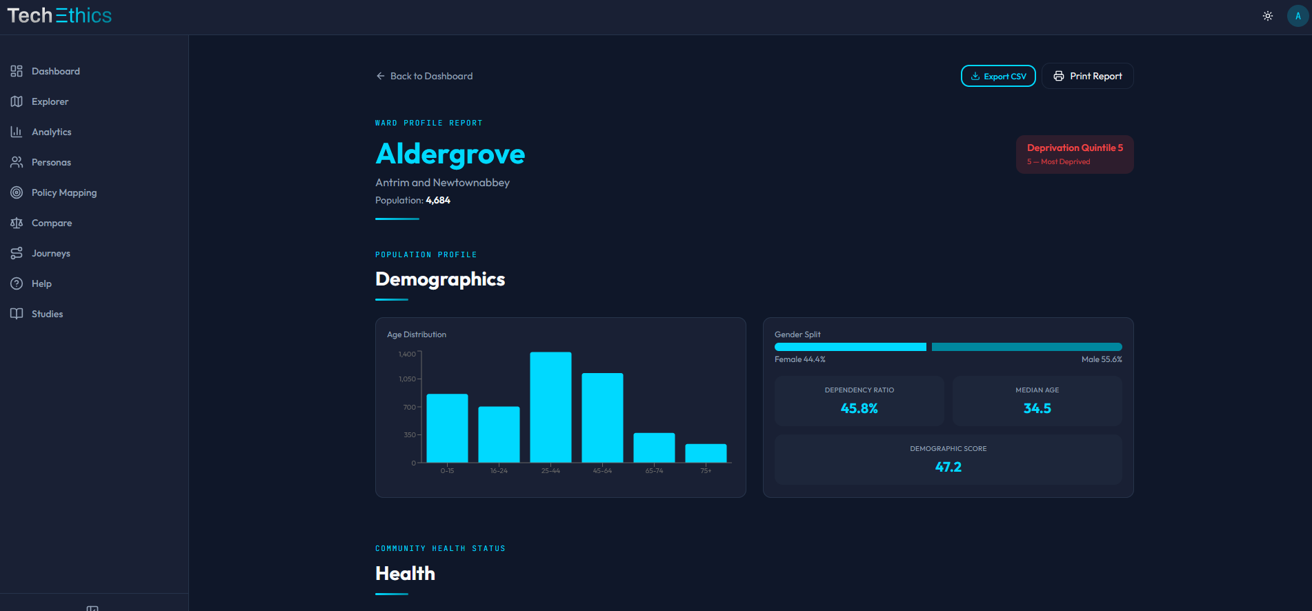 Comprehensive ward-level profile report with demographics and health indicators